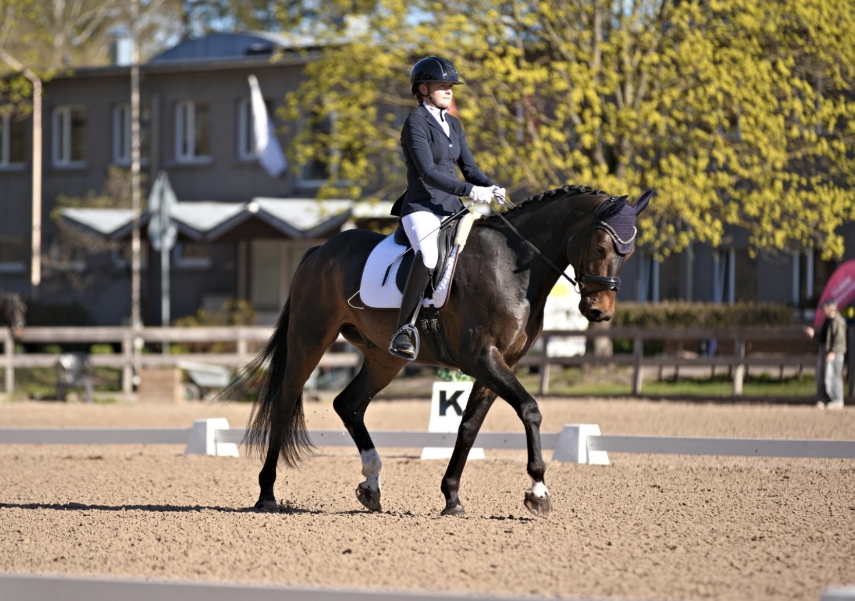 Bartolomeo Diamanetti S – Dressage – M1 – 5 – LV à vendre chez Avante Horse Sales (13)