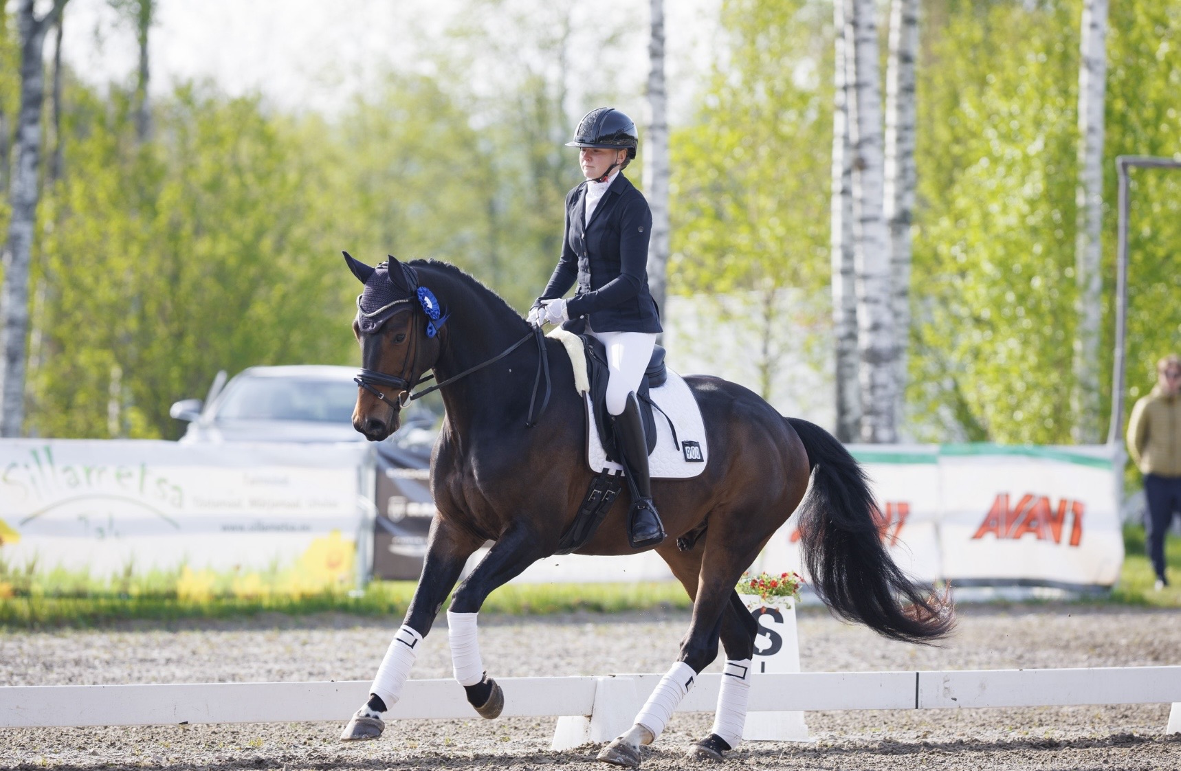 Bartolomeo Diamanetti S – Dressage – M1 – 5 – LV à vendre chez Avante Horse Sales (8)