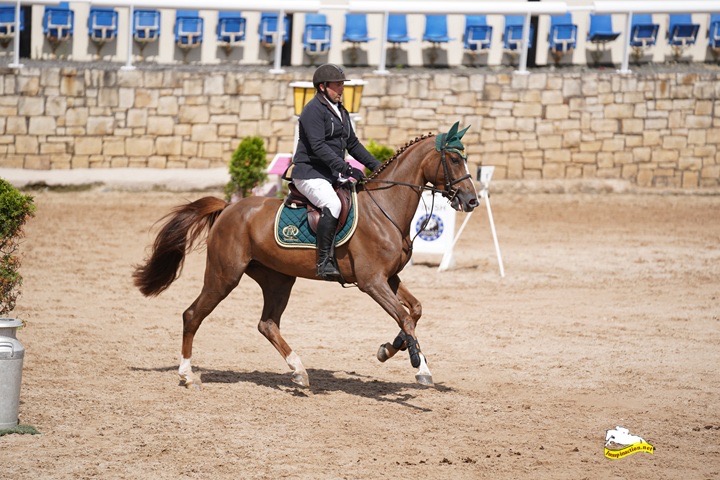Swiggy VD Watermolen – Show Jumping – 1.10 M – KWPN – 4 – IE til salg hos Avante Horse Sales (4)