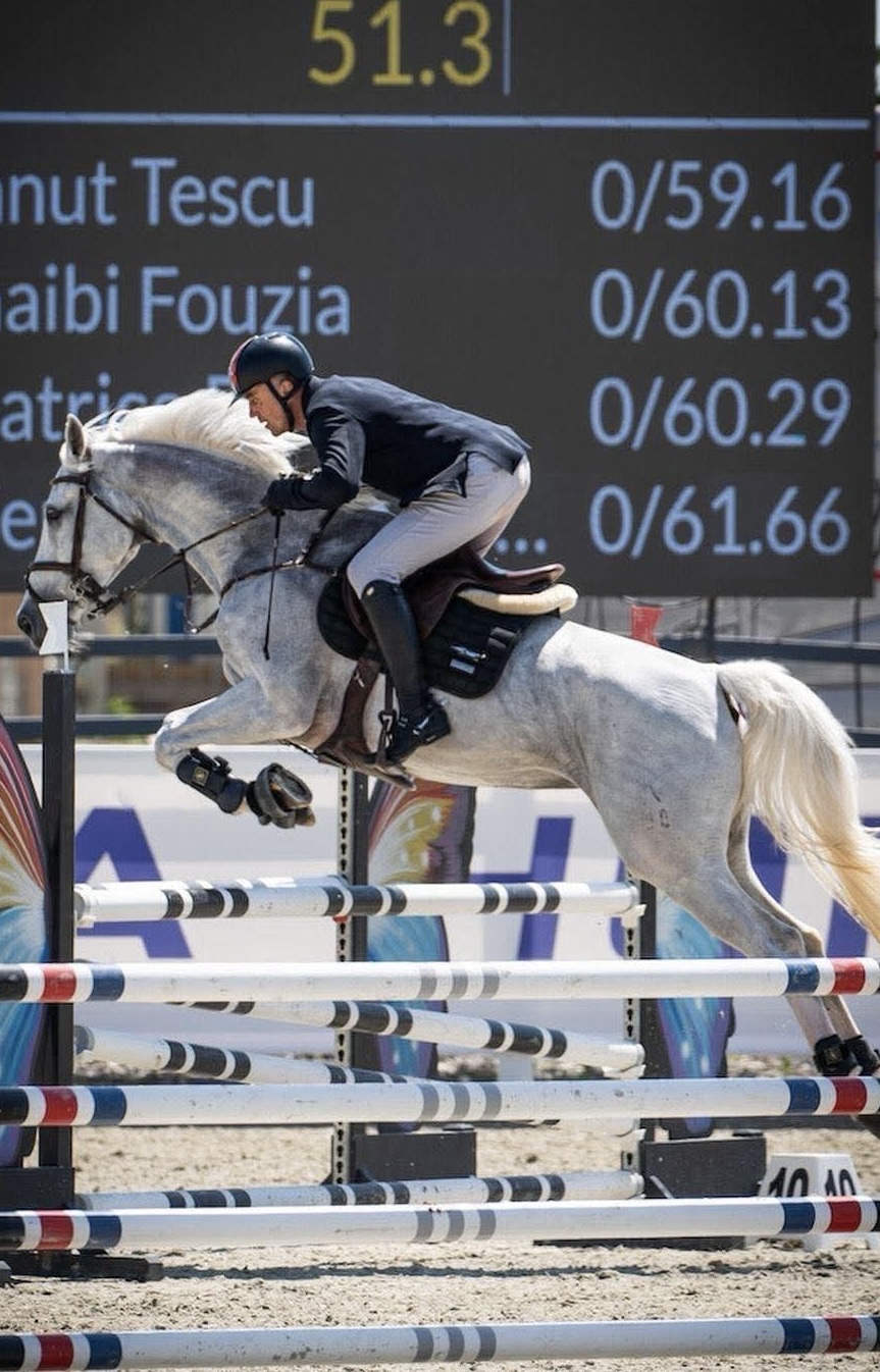 Quathaga – Show Jumping – 1.20 - 1.25 – Hannoverian – 14 – RO for sale at Avante Horse Sales