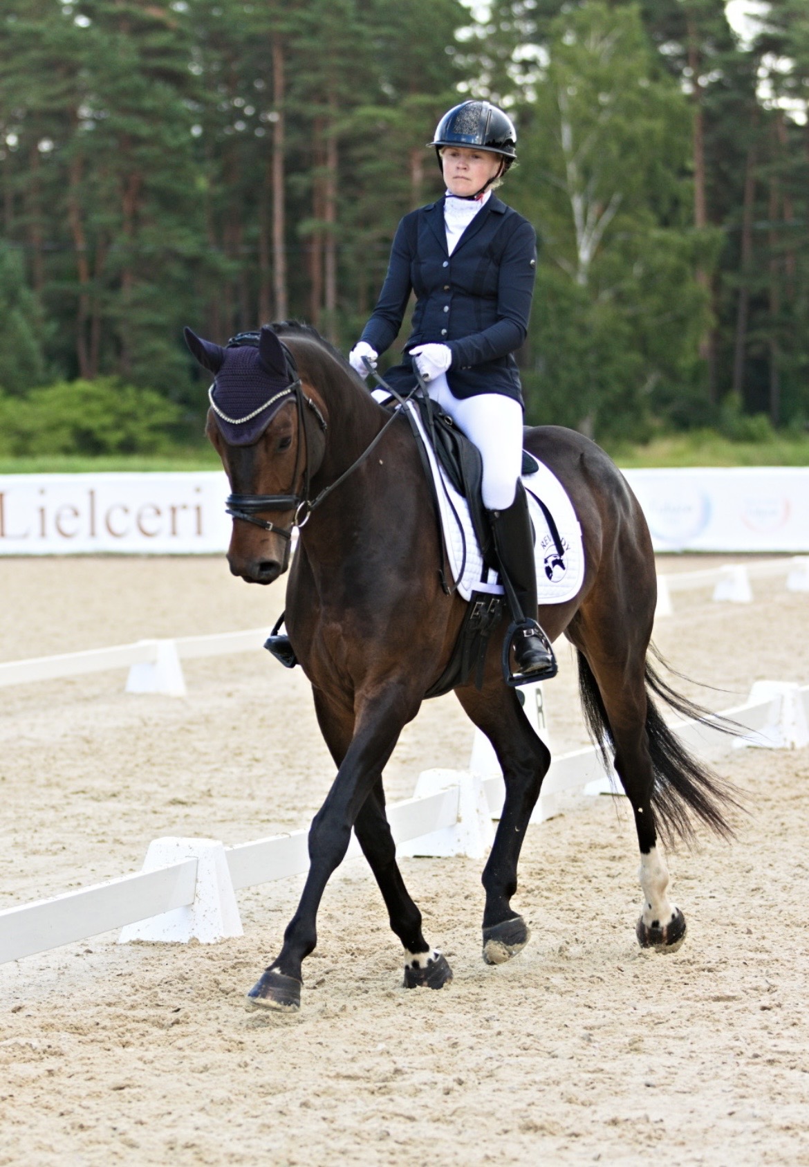 Bartolomeo Diamanetti S – Dressage – M1 – 5 – LV à vendre chez Avante Horse Sales (4)