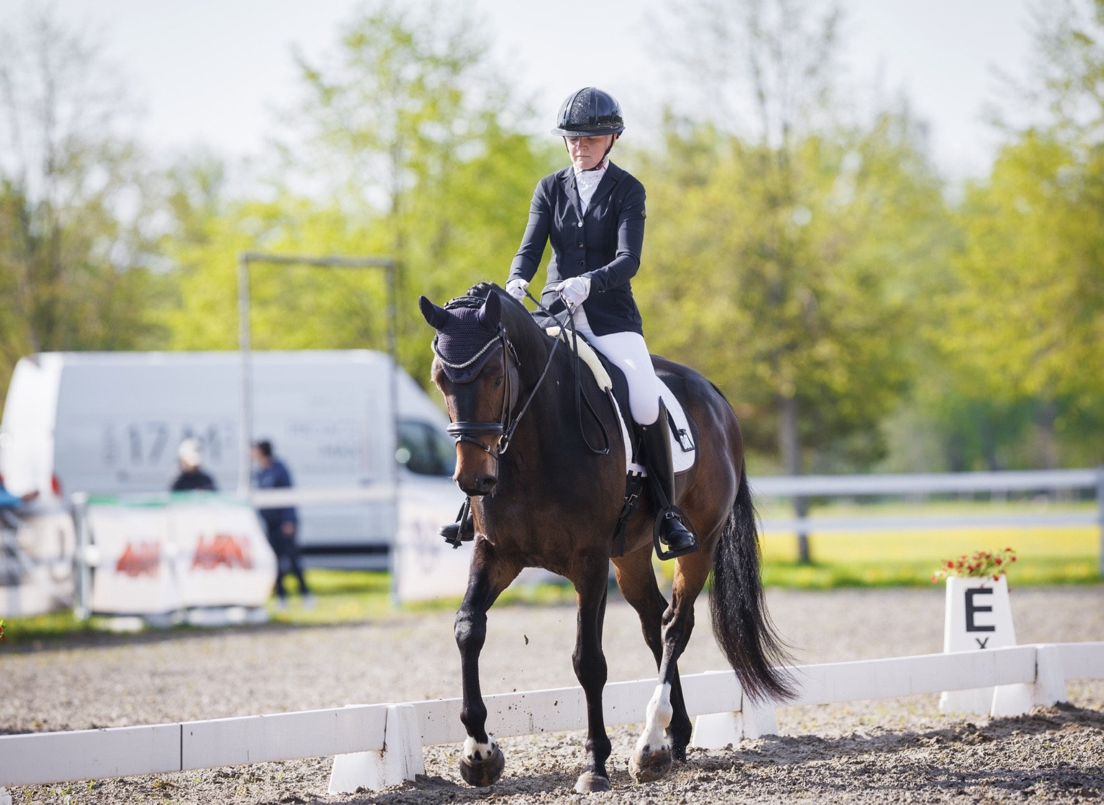 Bartolomeo Diamanetti S – Dressage – M1 – 5 – LV à vendre chez Avante Horse Sales (15)