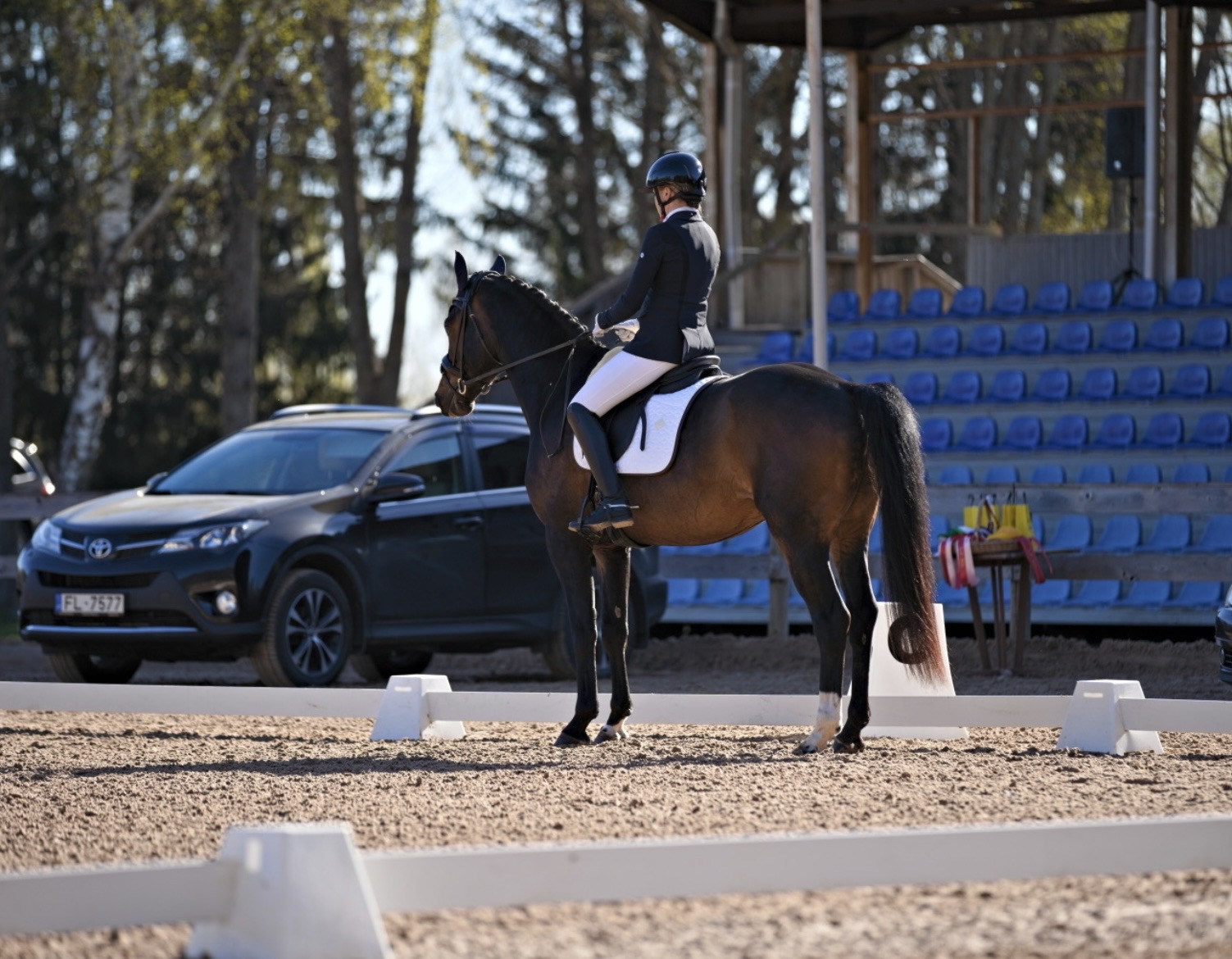 Bartolomeo Diamanetti S – Dressage – M1 – 5 – LV à vendre chez Avante Horse Sales (17)