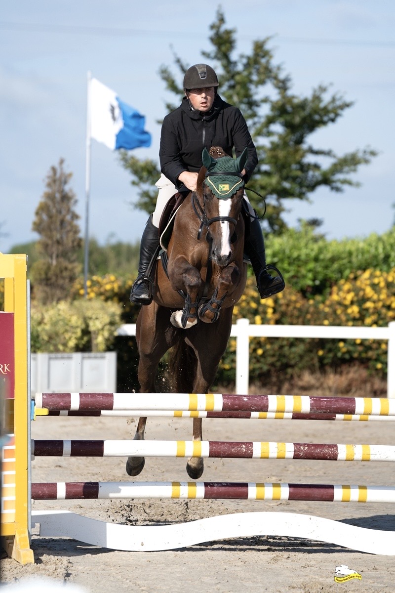 Swiggy VD Watermolen – Show Jumping – 1.10 M – KWPN – 4 – IE til salg hos Avante Horse Sales