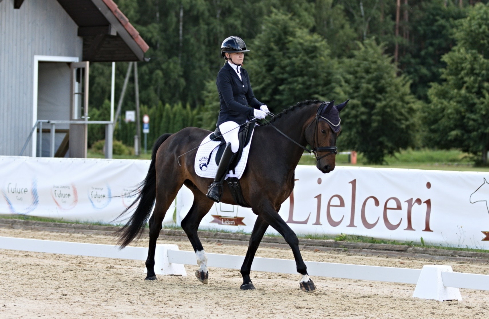 Bartolomeo Diamanetti S – Dressage – M1 – 5 – LV à vendre chez Avante Horse Sales (6)