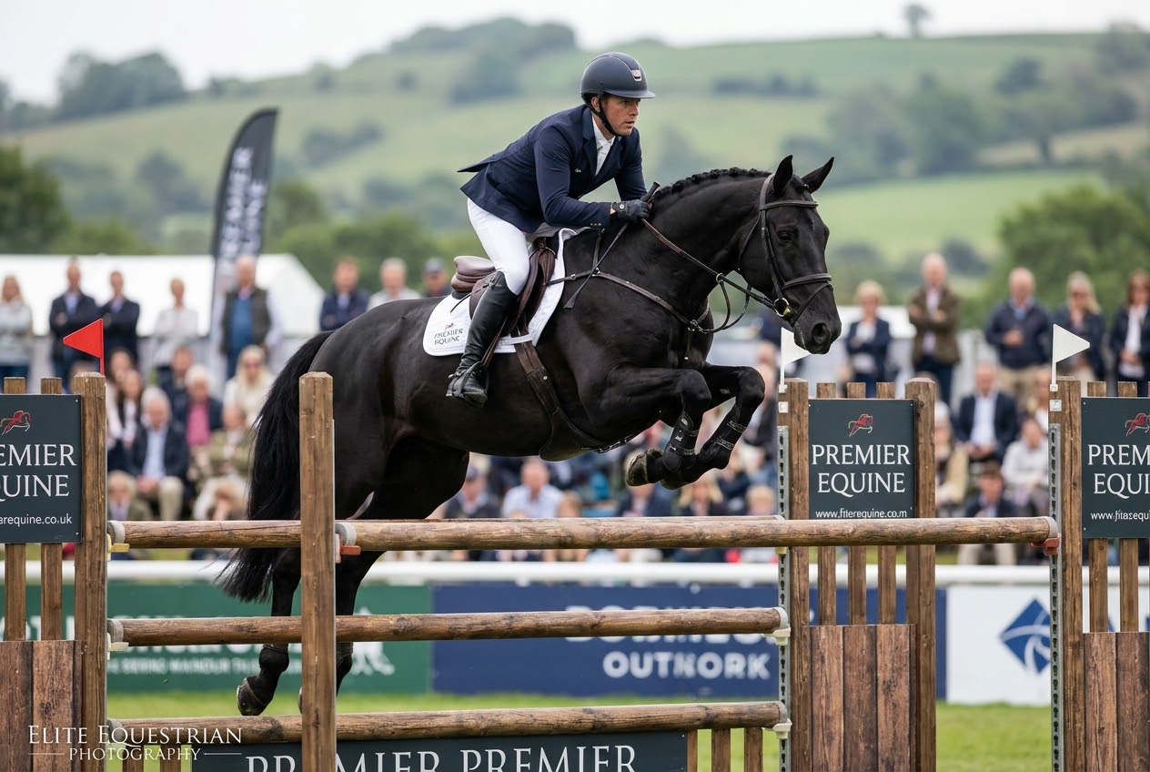 Comprar un caballo en Holanda: guía paso a paso para compradores internacionales Comprar un caballo en Holanda: guía paso a paso para compradores internacionales – Kopen – base de conocimiento de caballos deportivos – Avante Horse Sales