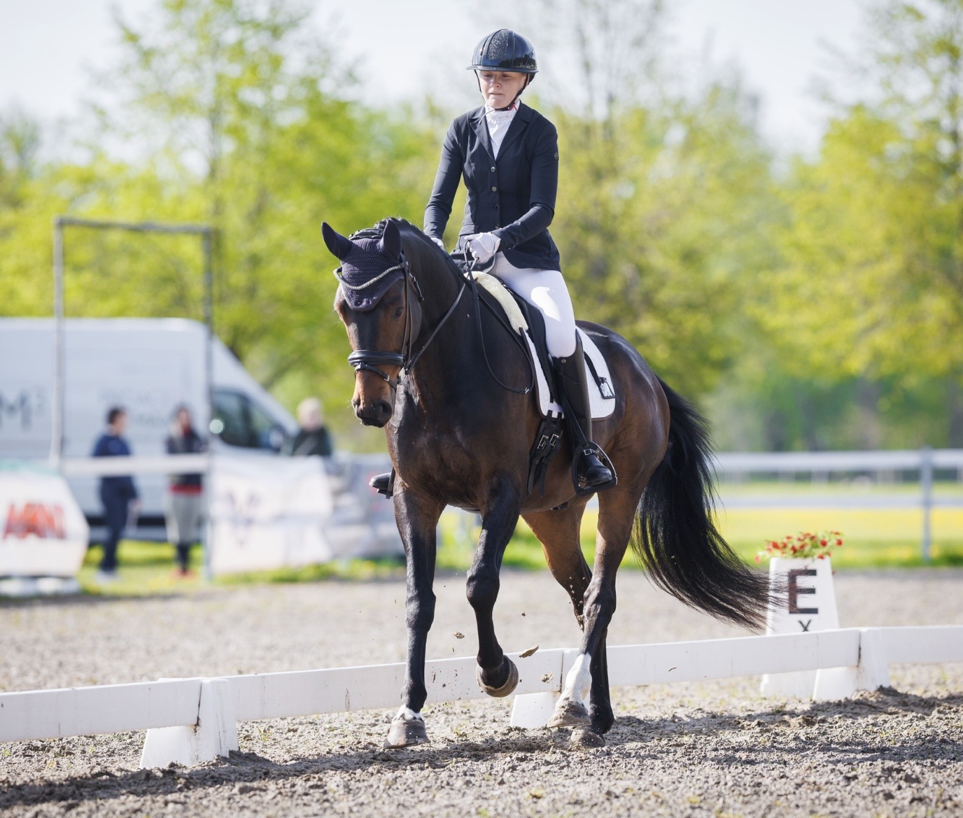 Bartolomeo Diamanetti S – Dressage – M1 – 5 – LV à vendre chez Avante Horse Sales (10)
