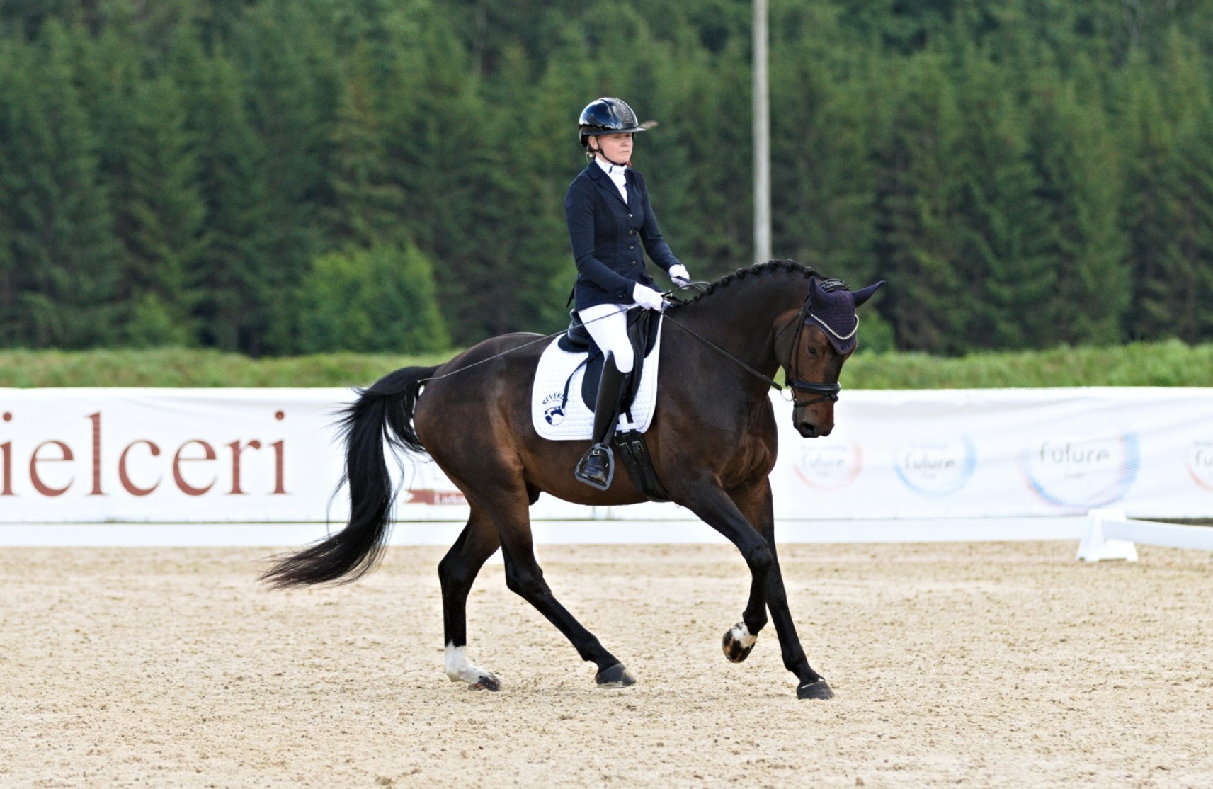 Bartolomeo Diamanetti S – Dressage – M1 – 5 – LV à vendre chez Avante Horse Sales (5)
