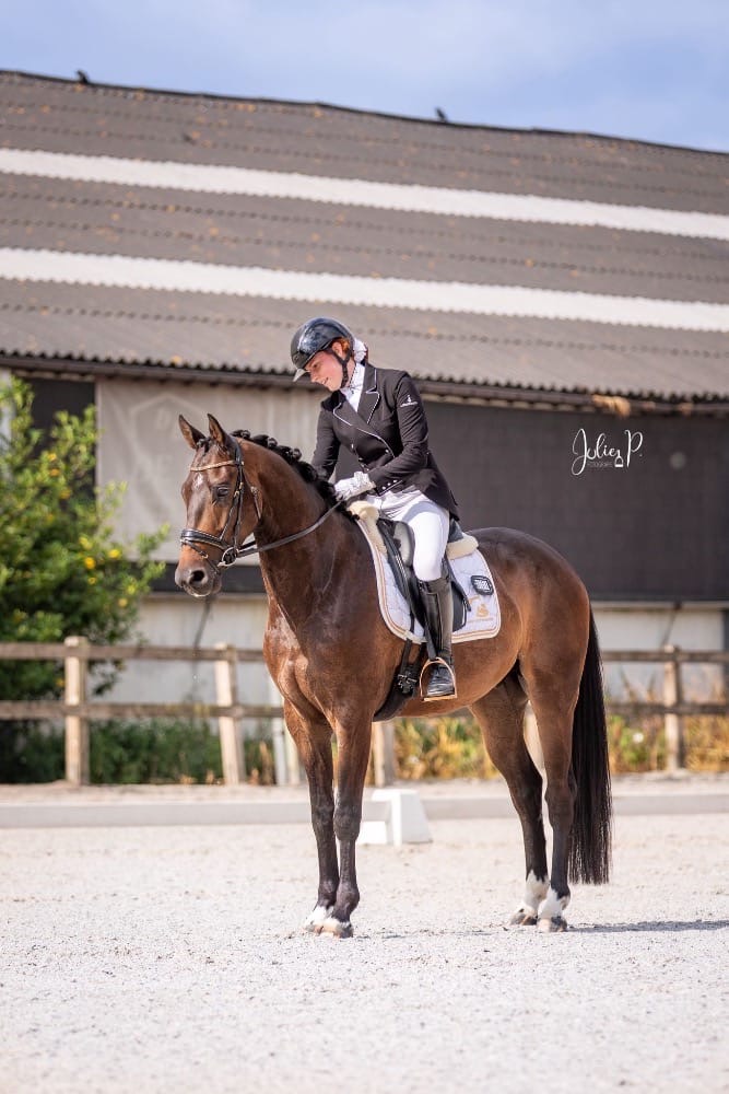 Usain TS – Dressage – Niveau L - Training M – BWP – 6 – BE til salg hos Avante Horse Sales